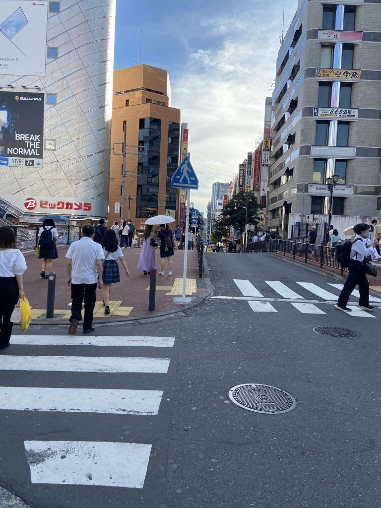 道路画像。手前と右側に横断歩道。左手にビックカメラの建物。右手のビルは雑居ビル。